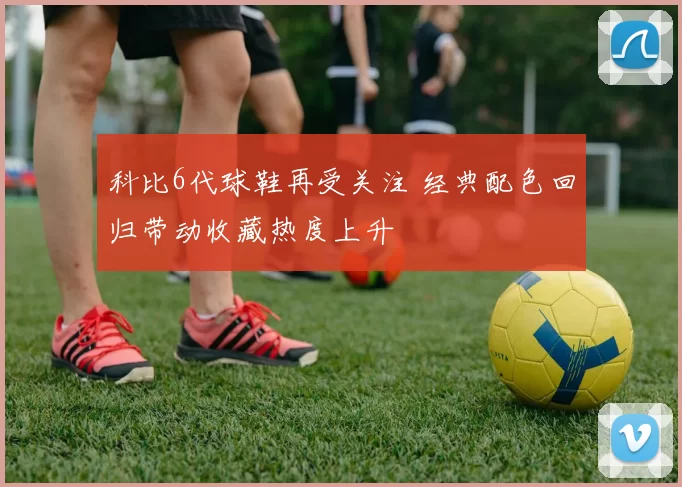 科比6代球鞋再受关注 经典配色回归带动收藏热度上升