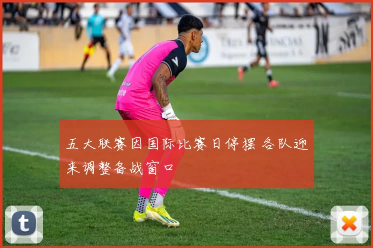 五大联赛因国际比赛日停摆 各队迎来调整备战窗口