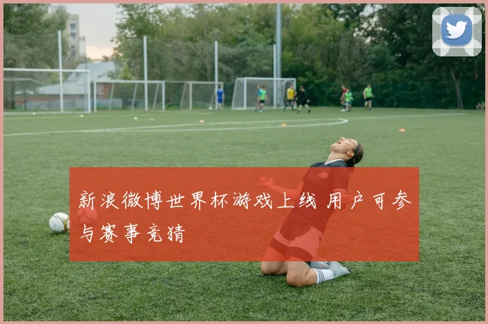 新浪微博世界杯游戏上线 用户可参与赛事竞猜