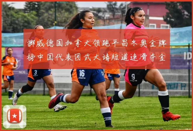 挪威德国加拿大领跑平昌冬奥金牌榜中国代表团武大靖短道速滑夺金
